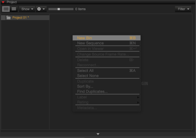 Create New Bin from Project Group